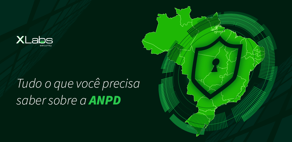 Tudo que você precisa saber sobre a ANPD: Autoridade Nacional de Proteção de Dados