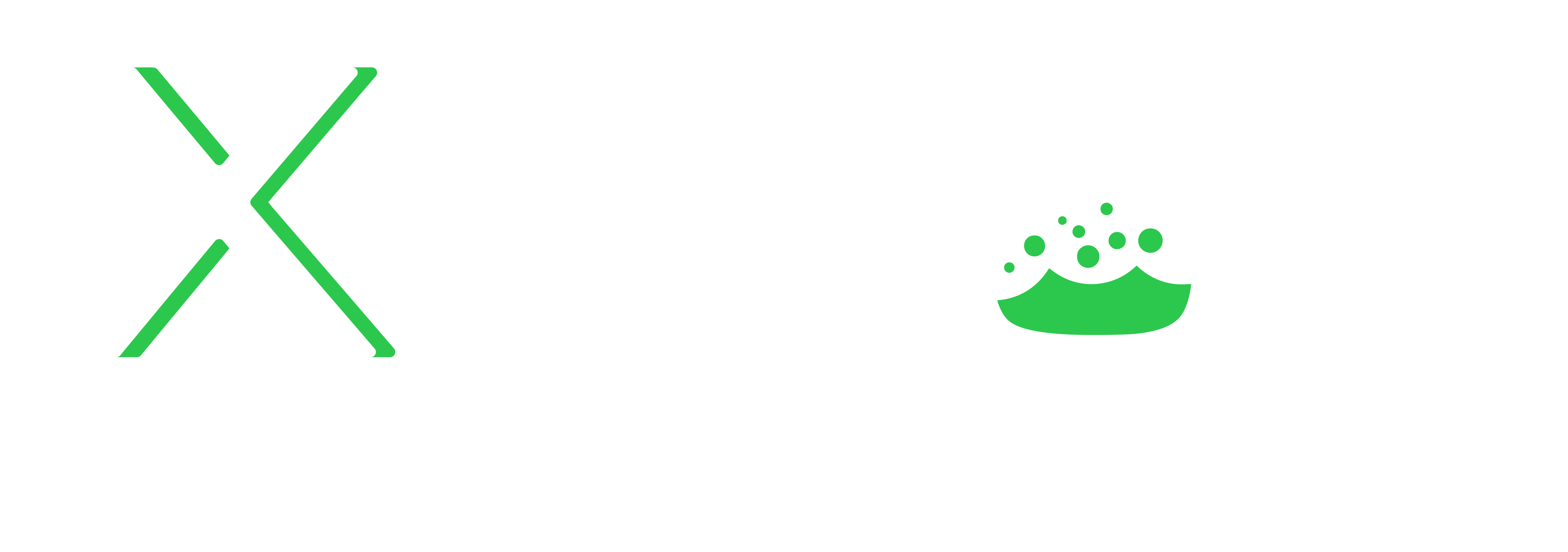 Logotipo_Principal_Branco_XLabs Security